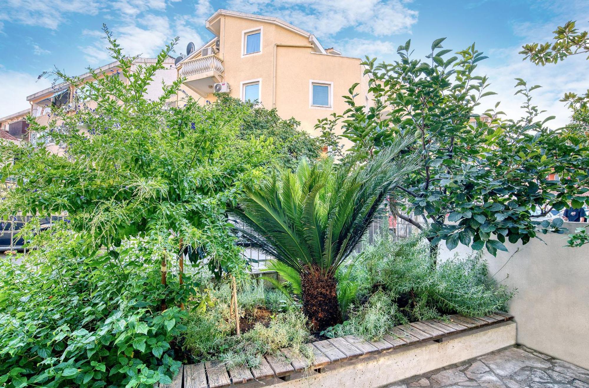 Sun Guest House Μπούντβα Εξωτερικό φωτογραφία